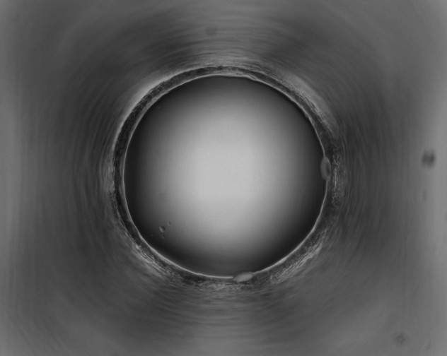 X0000100760924200806191204