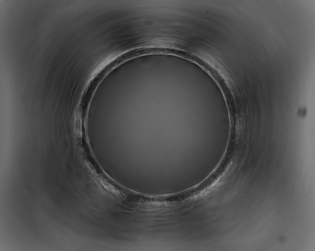 X0000100760925200806191204