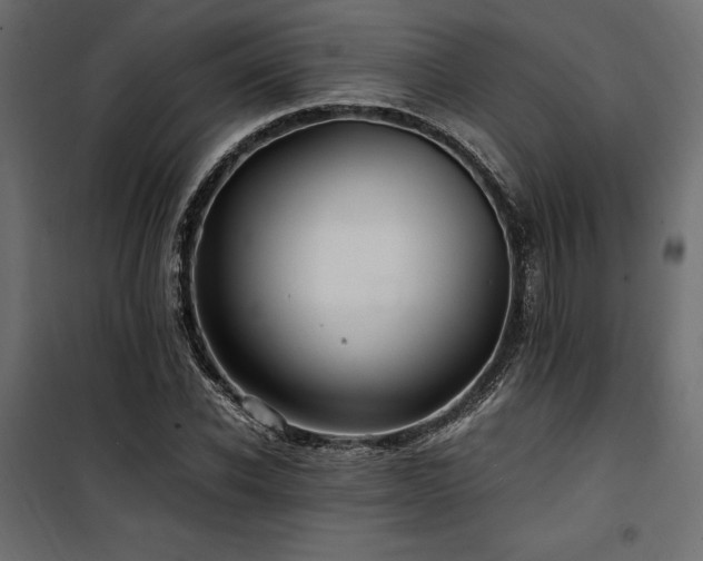 X0000100760926200806191204