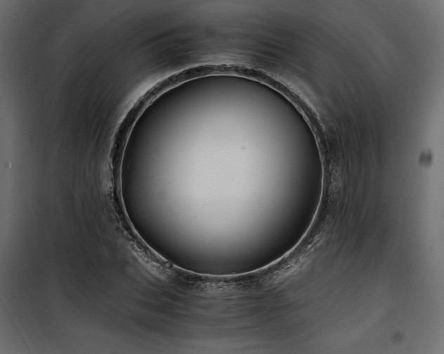 X0000100760927200806191204