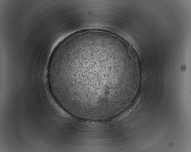 X0000100760928200806191204