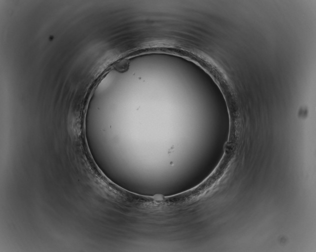 X0000100760929200806191204