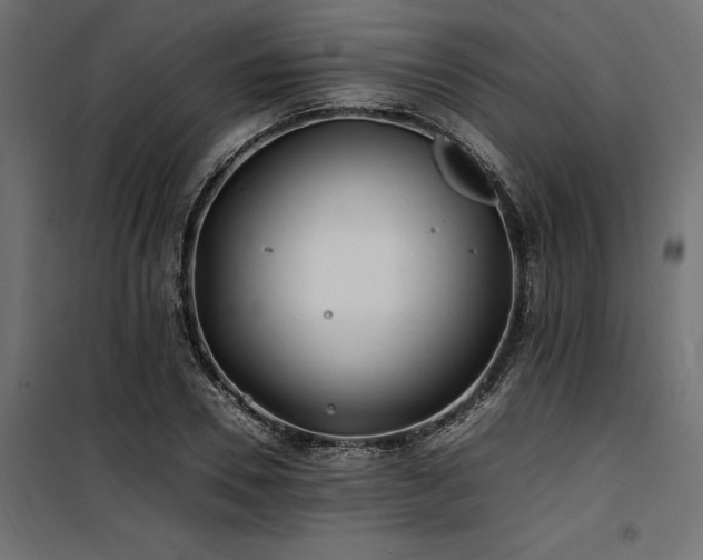 X0000100760930200806191204