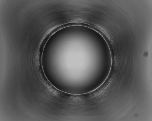 X0000100760931200806191204