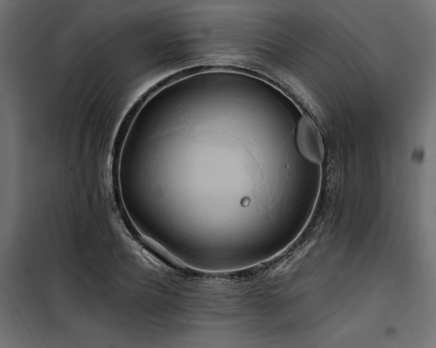 X0000100760932200806191204