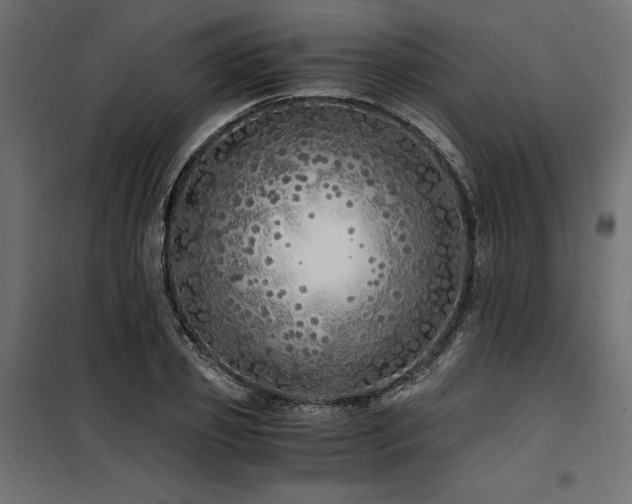 X0000100760933200806191204