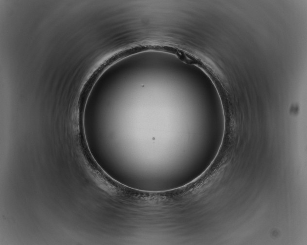 X0000100760934200806191204