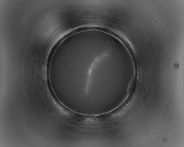 X0000100760935200806191204