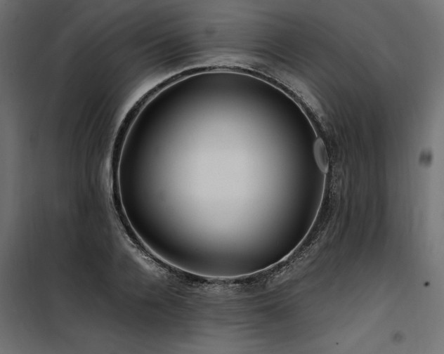 X0000100760936200806191204