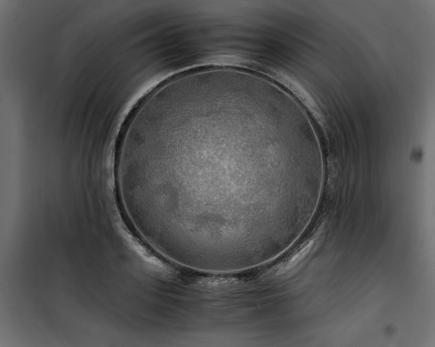 X0000100760939200806191204