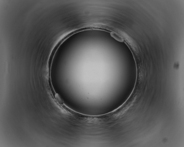 X0000100760940200806191204