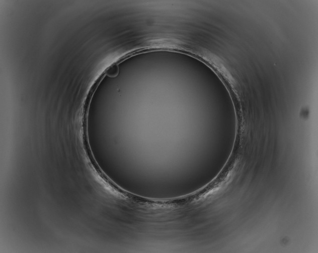 X0000100760941200806191204