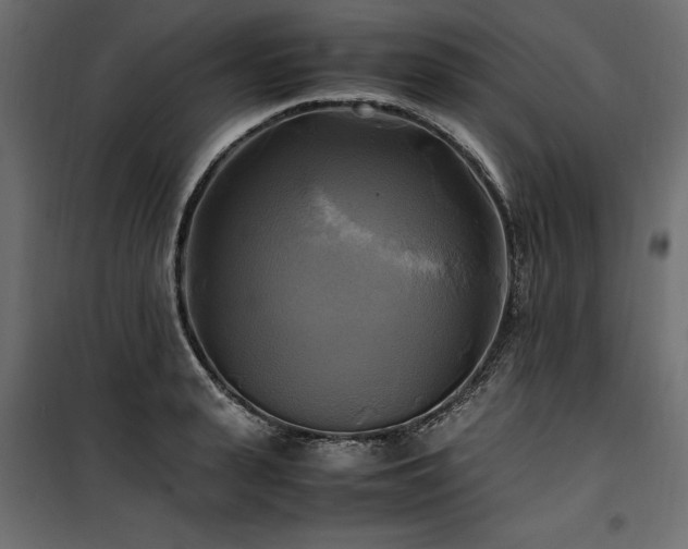 X0000100760943200806191204