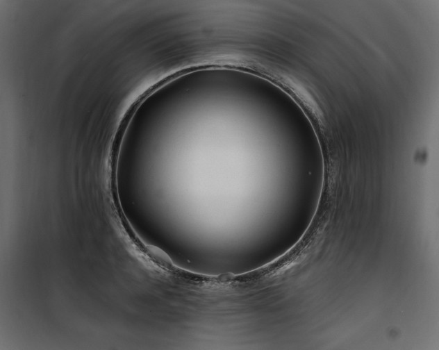 X0000100760944200806191204