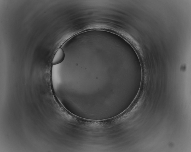 X0000100760945200806191204