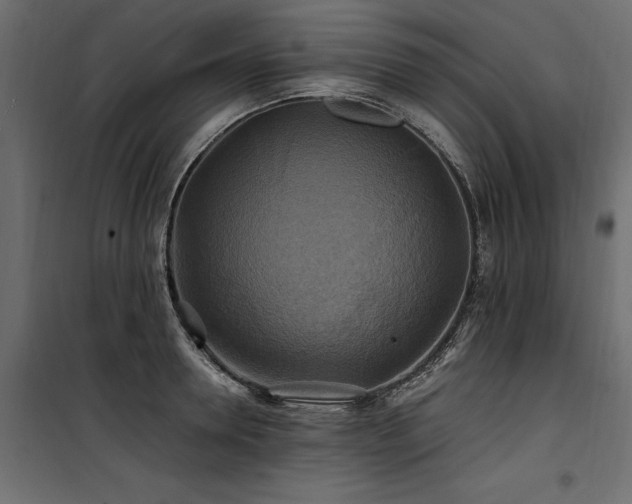 X0000100760946200806191204