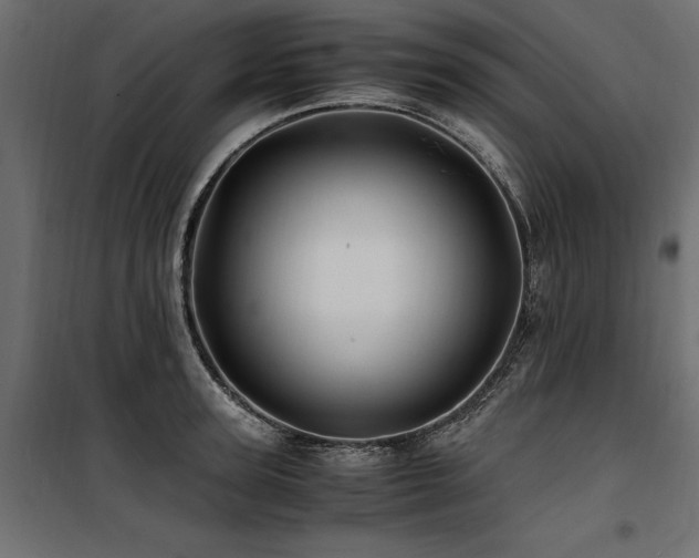 X0000100760947200806191204