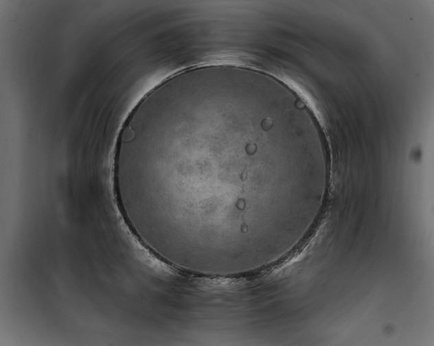 X0000100760949200806191204