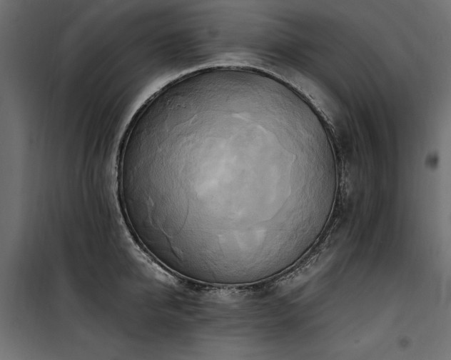 X0000100760950200806191204