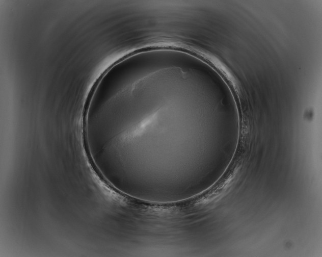 X0000100760951200806191204