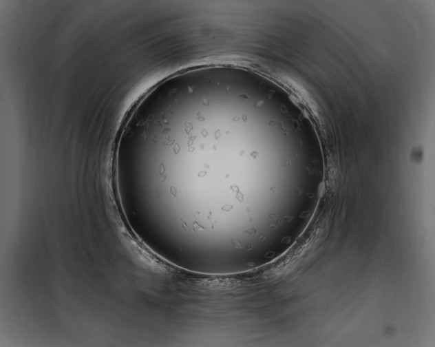 X0000100760952200806191204