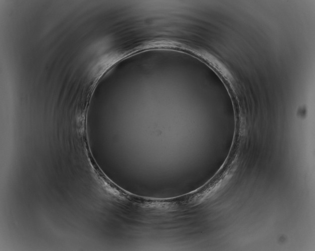 X0000100760953200806191204