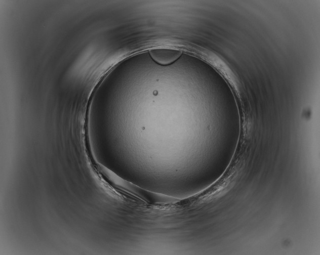 X0000100760954200806191204