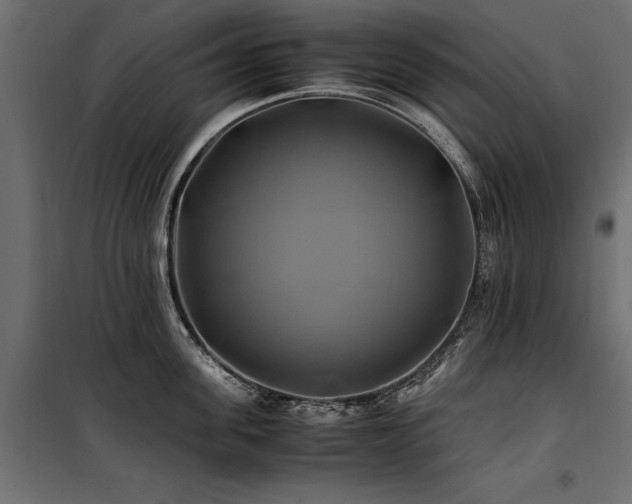 X0000100760955200806191204