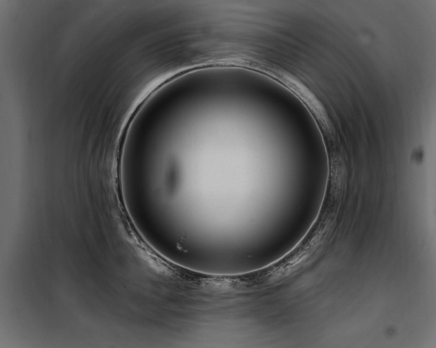 X0000100760956200806191204