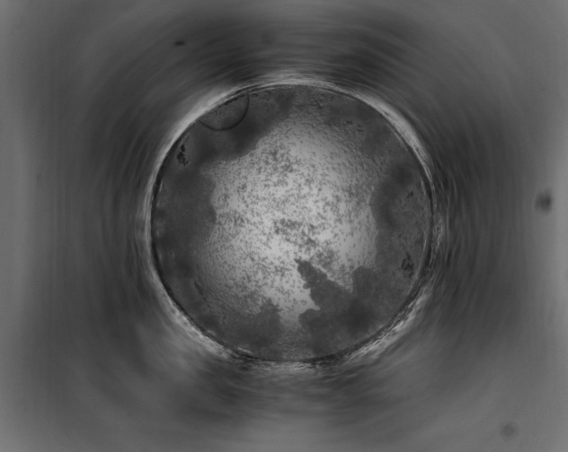 X0000100760957200806191204