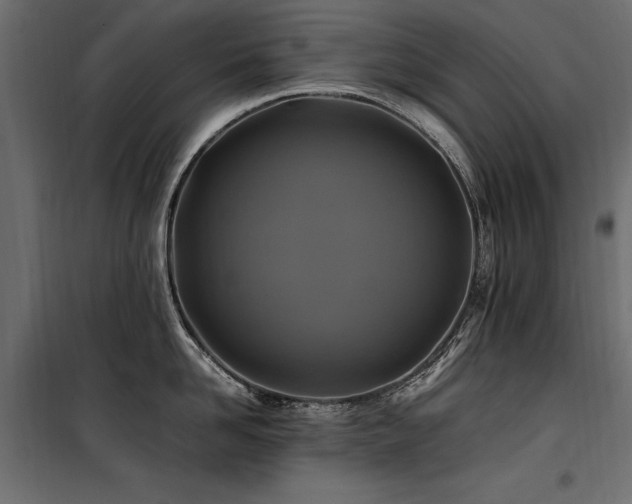 X0000100760958200806191204