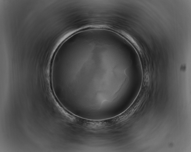 X0000100760959200806191204