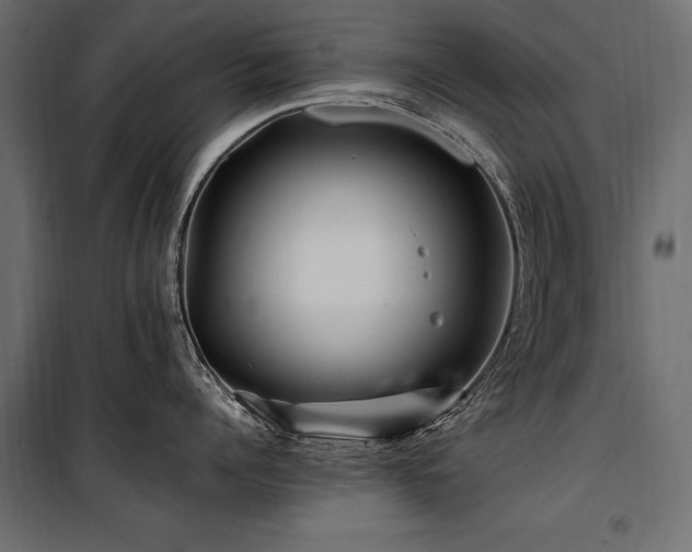 X0000100760960200806191204