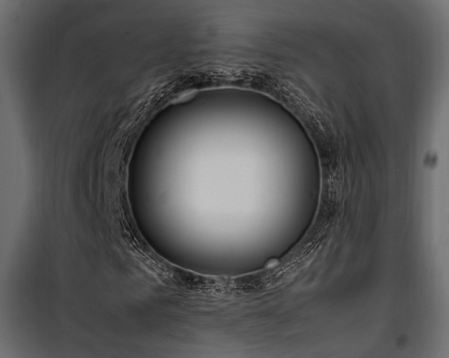 X0000100760961200806191204