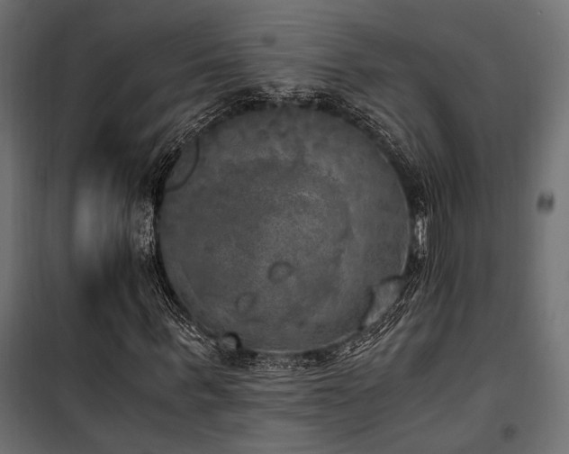 X0000100760963200806191203