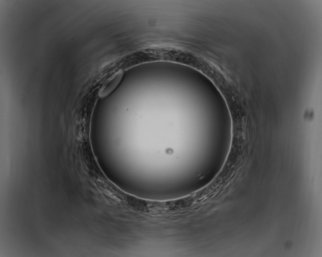 X0000100760965200806191203