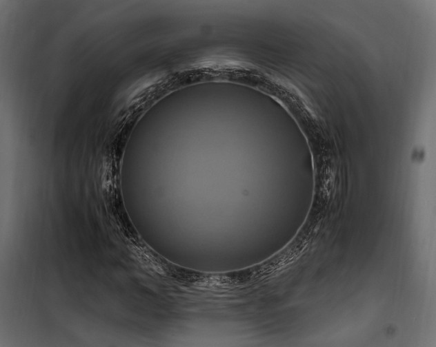 X0000100760966200806191203