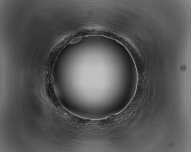 X0000100760967200806191203