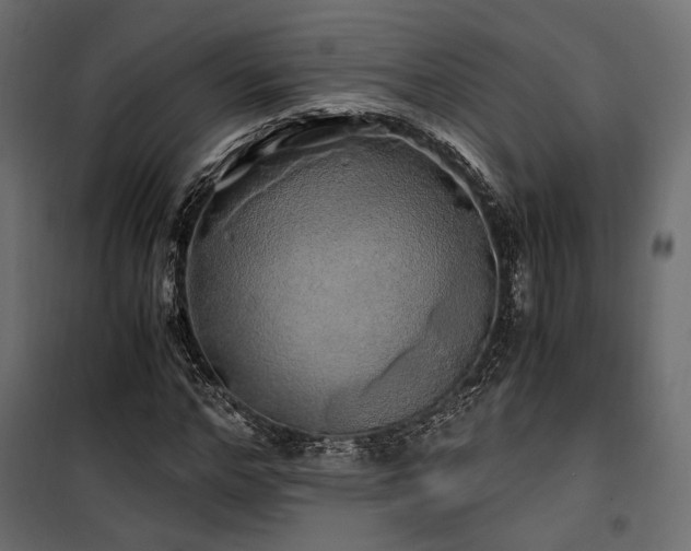 X0000100760968200806191203