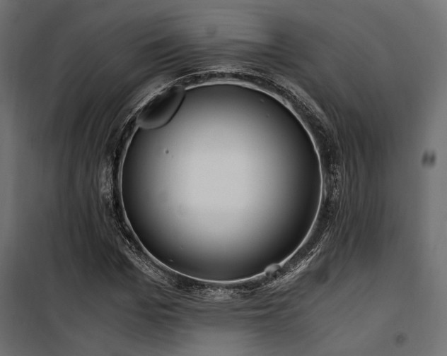 X0000100760969200806191203