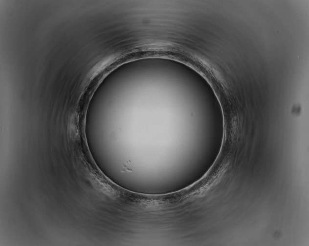 X0000100760970200806191203