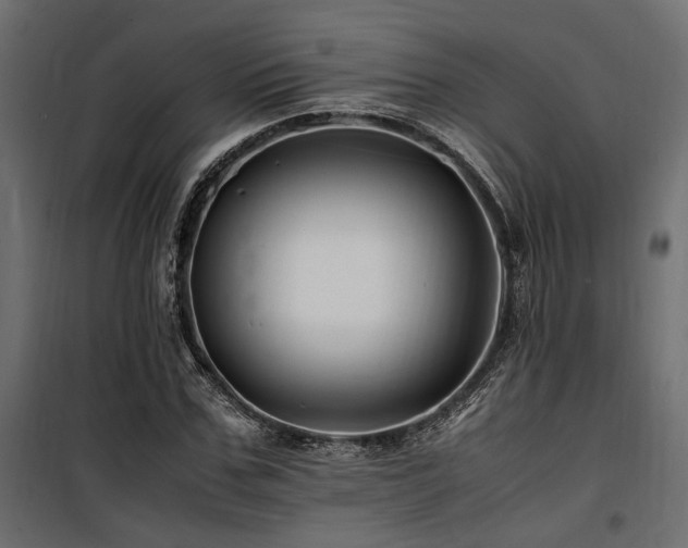 X0000100760971200806191203