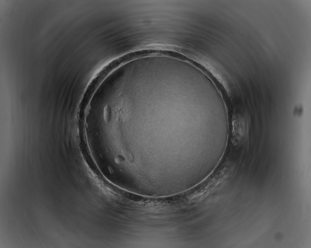 X0000100760972200806191203