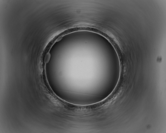 X0000100760973200806191203