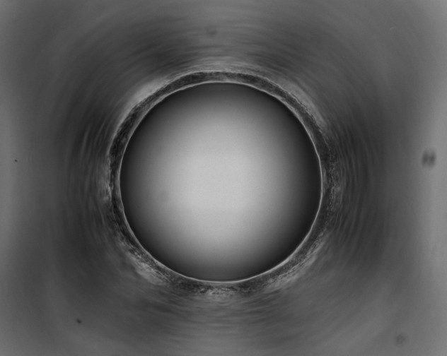 X0000100760974200806191203