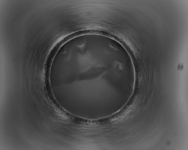 X0000100760975200806191203