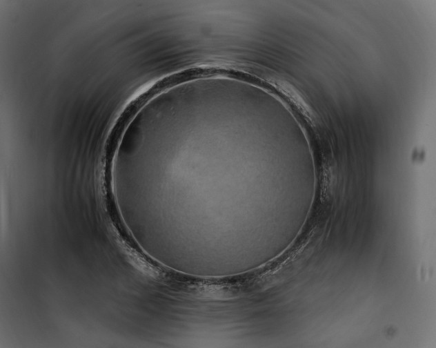 X0000100760976200806191203