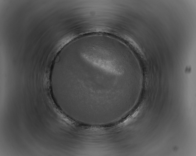 X0000100760977200806191203