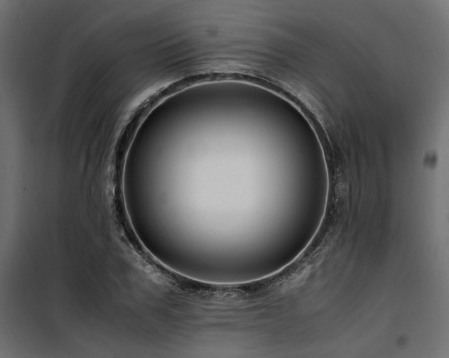 X0000100760979200806191203