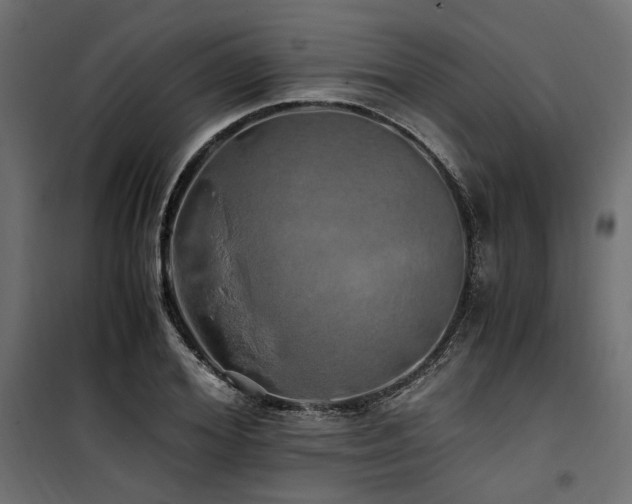 X0000100760980200806191203